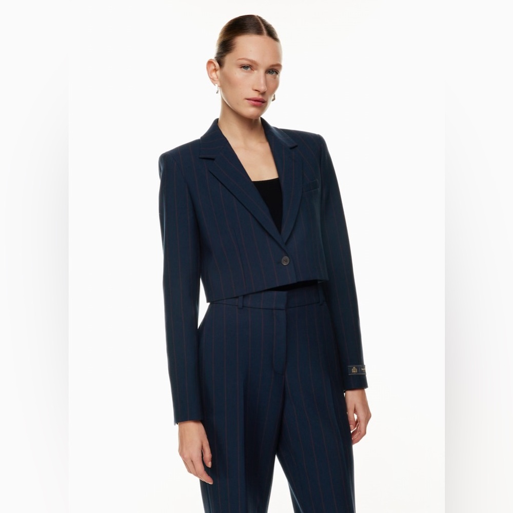 Aritzia Babaton Arbus Blazer